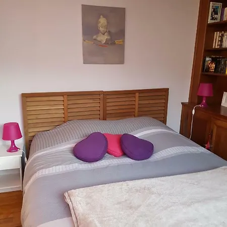 La Zaubette 8 Personnes La Bresse